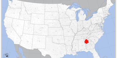 Atlanta bize göster